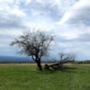 Meet your Posher, Larsson